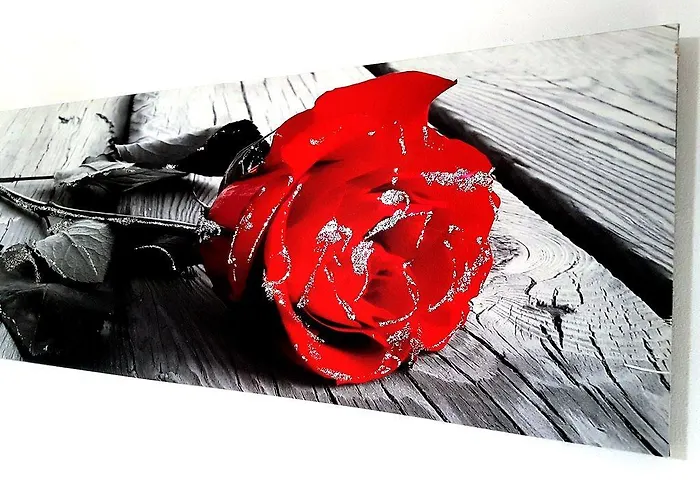 Vanessa House Panzió