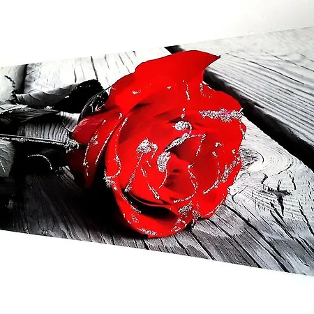 Vanessa House Frühstückspension